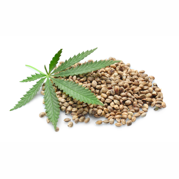 hemp seeds are high in omega-3 fatty acids