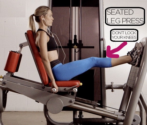 How To Do The Seated Leg Press Proper Form And Common Mistakes 